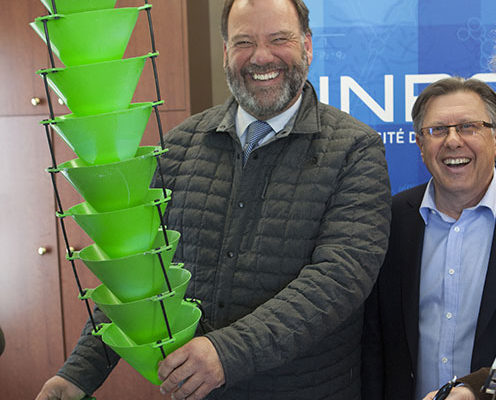 Un partenariat à long terme vise à ralentir la progression de l’agrile du frêne