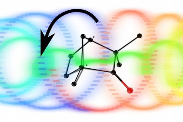 C’mon electrons, let’s do the twist!