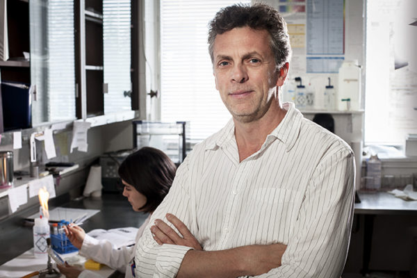 On the path to new approaches in the fight against the Leishmania parasite