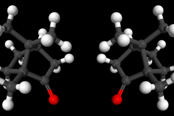 Are molecules right-handed or left-handed?