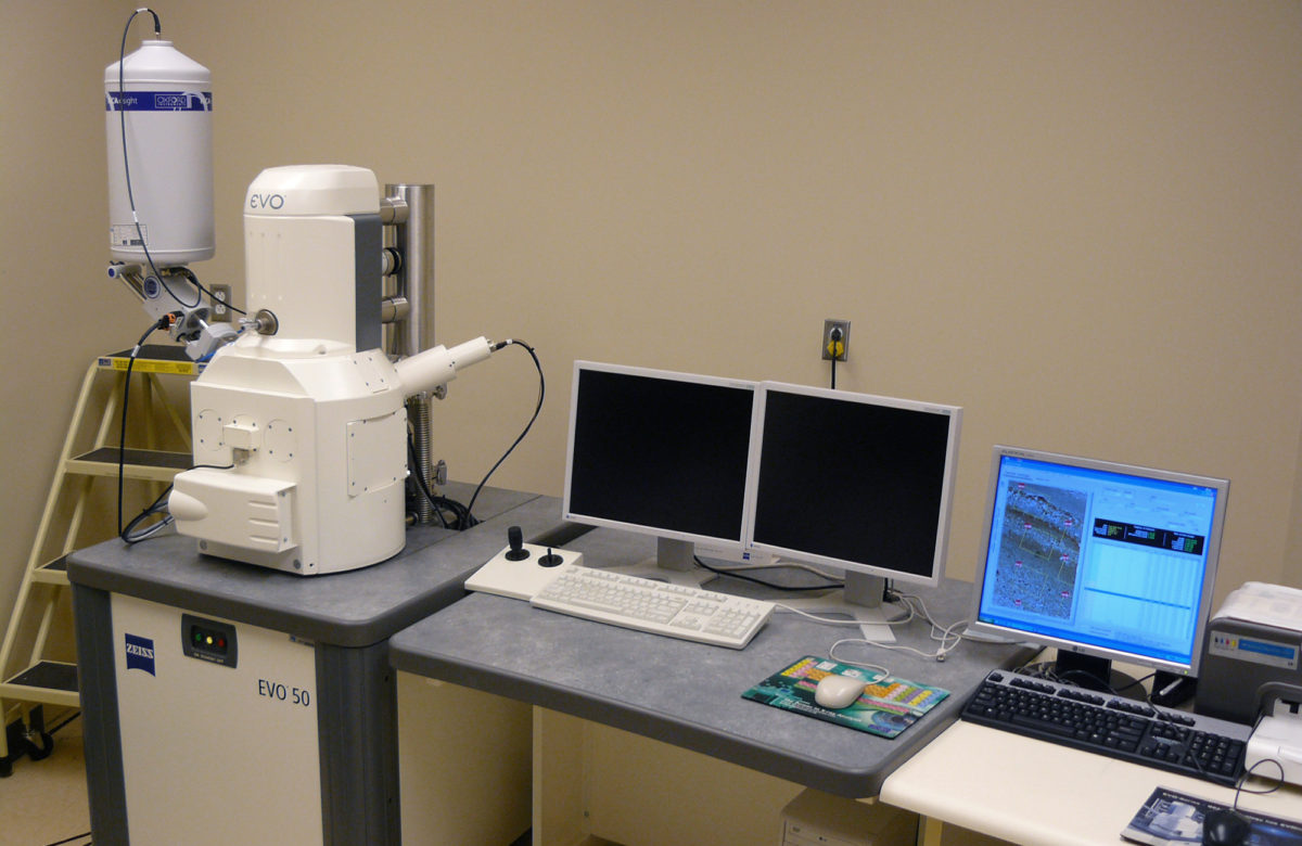 Le Microscope électronique à balayage et la microanalyse X : Pôle