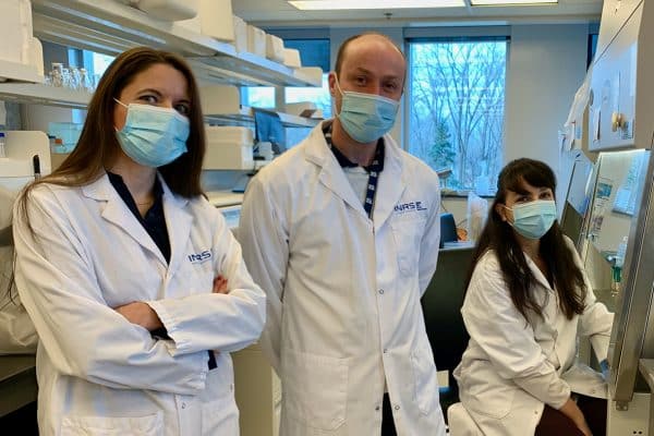 Discovery of a potential treatment against antibiotic-resistant bacteria causing gonorrhea and meningitis