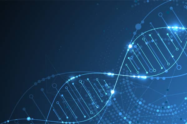Plateforme automatisée de collecte et de surveillance génomique intégrée des moustiques et des agents pathogènes en milieux ruraux