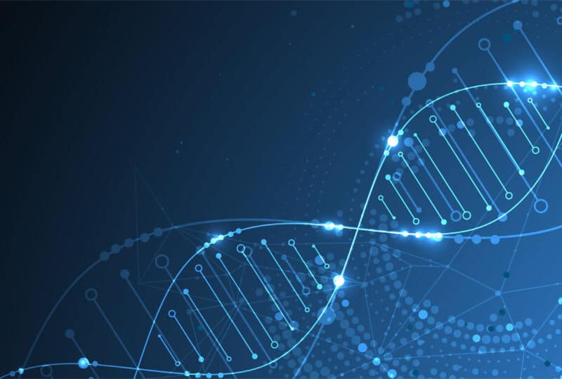 Science template, wallpaper or banner with a DNA molecules. Vector illustration.