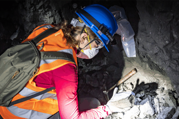 Rare Earth Elements: The Invisible Pillars of Our Technological Revolution 