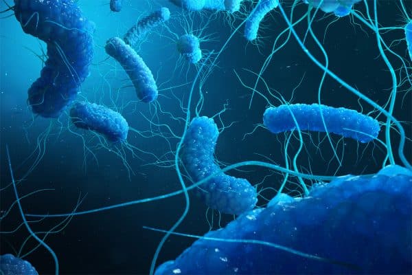 A new avenue for fighting drug-resistant bacteria