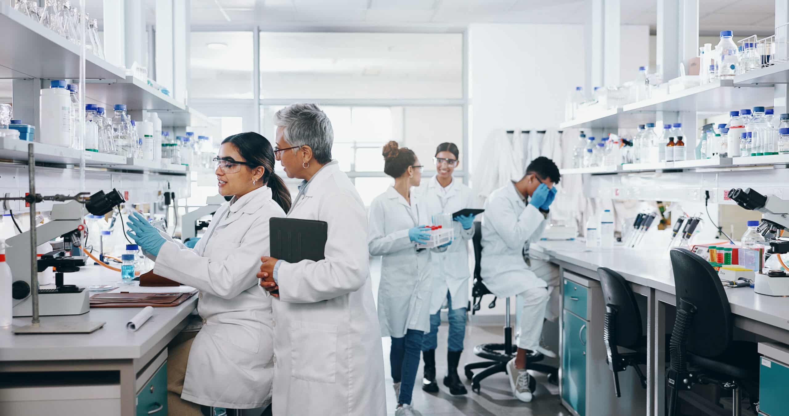 Inclusion in science and engineering: Over $1.9 million for a new research chair