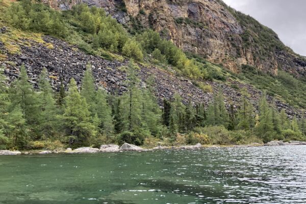 Arctic fish habitat – FROST project