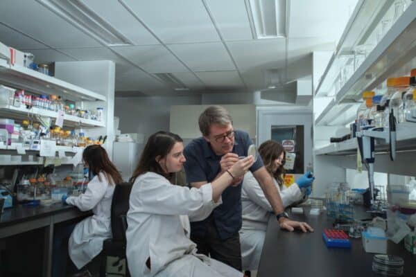 Stage d’été de premier cycle en recherche au Centre Armand-Frappier Santé Biotechnologie