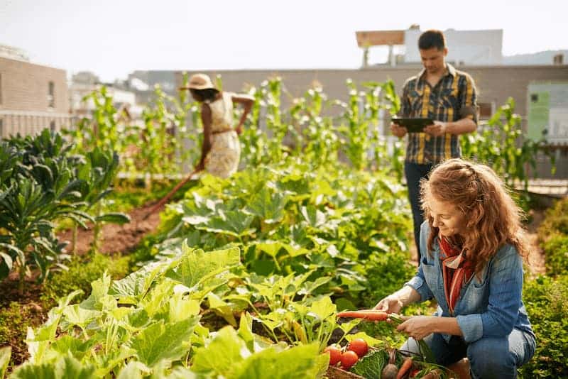Centre ruralité recherche