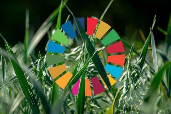 Développement durable