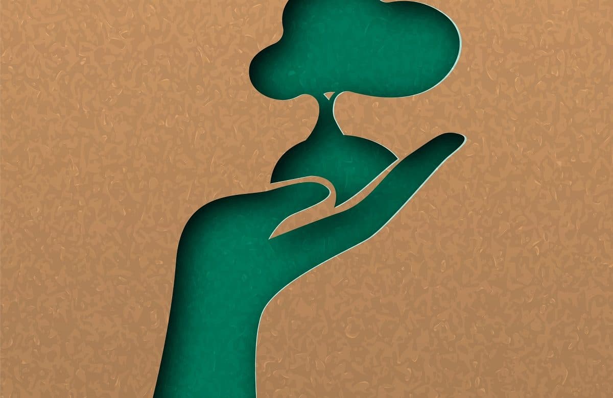 développement durable main arbre