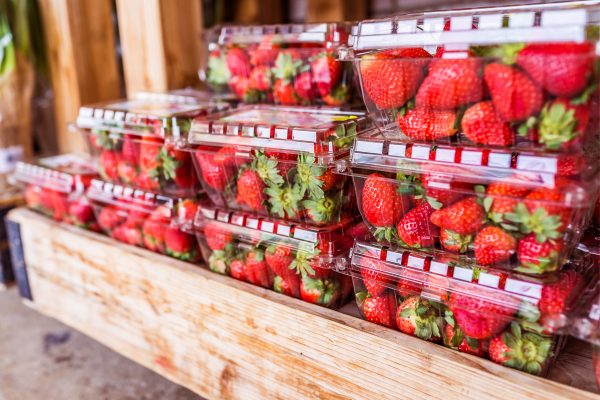 Winning the battle of strawberry preservation