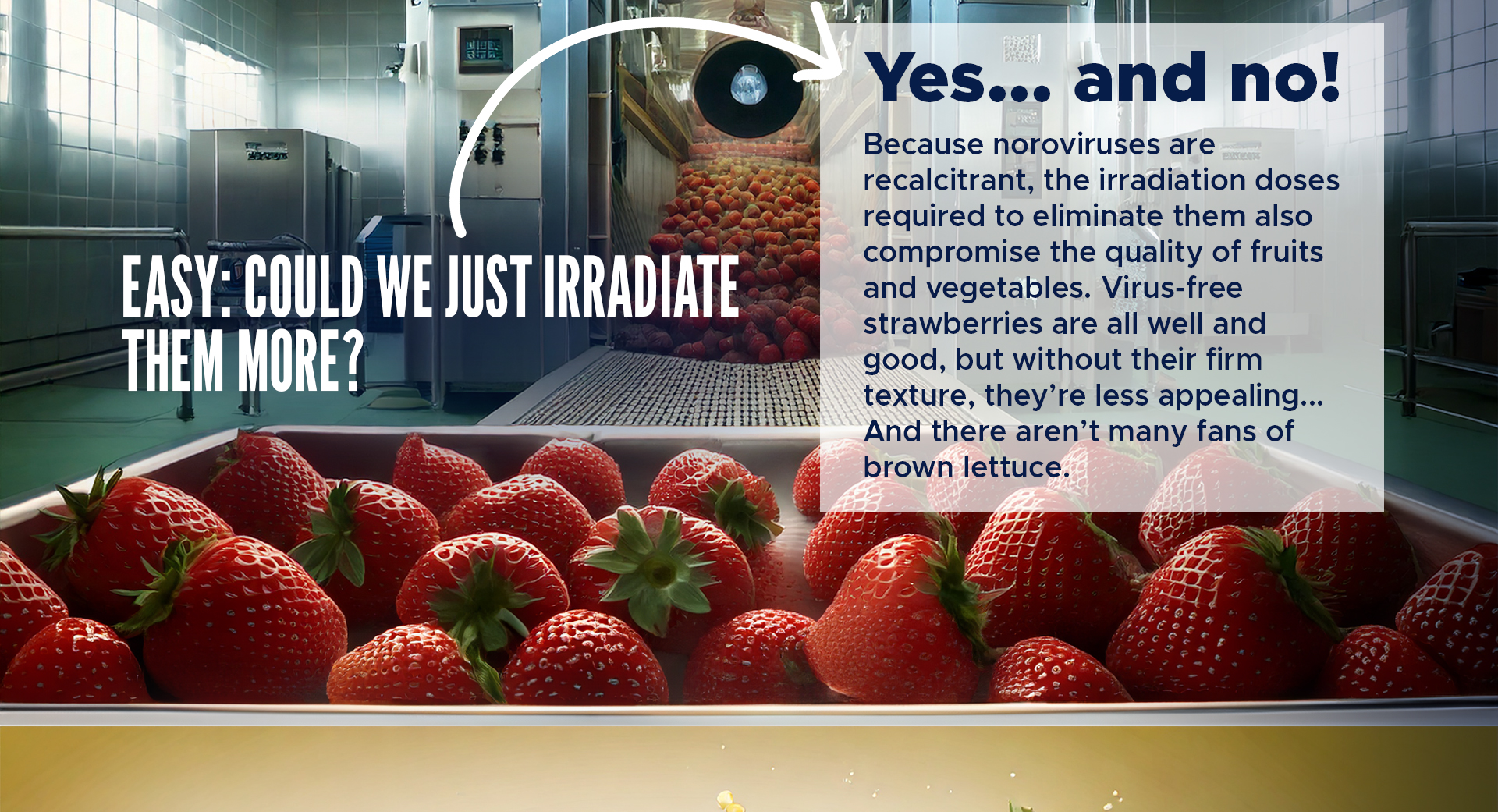 Easy: Could we just irradiate them more? 

Yes... and no! Because noroviruses are recalcitrant, the irradiation doses required to eliminate them also compromise the quality of fruits and vegetables. Virus-free strawberries are all well and good, but without their firm texture, they’re less appealing... And there aren’t many fans of brown lettuce. 