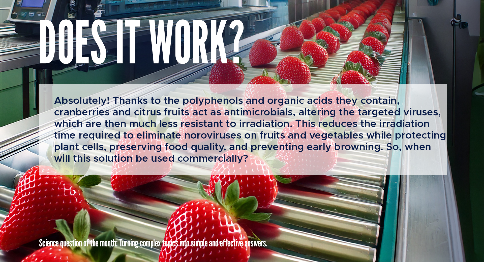 Does it work? 

Absolutely! Thanks to the polyphenols and organic acids they contain, cranberries and citrus fruits act as antimicrobials, altering the targeted viruses, which are then much less resistant to irradiation. This reduces the irradiation time required to eliminate noroviruses on fruits and vegetables while protecting plant cells, preserving food quality, and preventing early browning. So, when will this solution be used commercially?