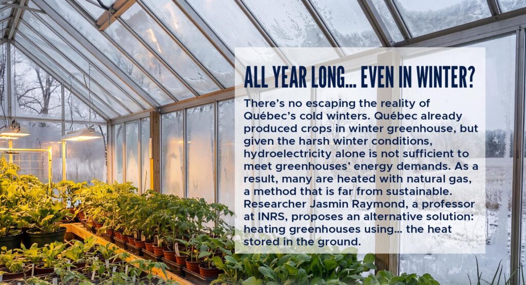 All year long… even in winter?
There’s no escaping the reality of Québec’s cold winters. Québec already produced crops in winter greenhouse, but given the harsh winter conditions, hydroelectricity alone is not sufficient to meet greenhouses’ energy demands. As a result, many are heated with natural gas, a method that is far from sustainable. Researcher Jasmin Raymond, a professor at INRS, proposes an alternative solution: heating greenhouses using… the heat stored in the ground.