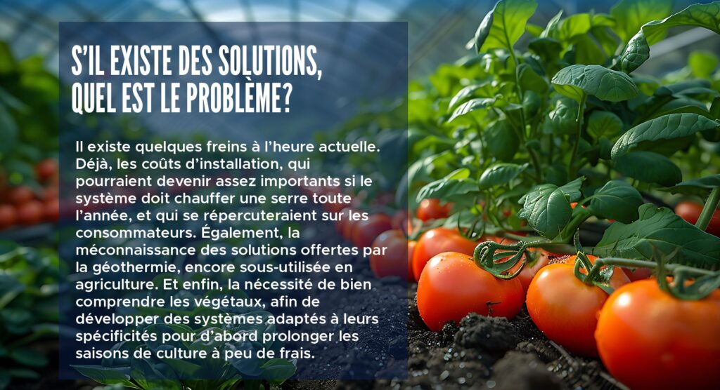 S’il existe des solutions, quel est le problème?
Il existe quelques freins à l’heure actuelle. Déjà, les coûts d’installation, qui pourraient devenir assez importants si le système doit chauffer une serre toute l’année, et qui se répercuteraient sur les consommateurs. Également, la méconnaissance des solutions offertes par la géothermie, encore sous-utilisée en agriculture. Et enfin, la nécessité de bien comprendre les végétaux, afin de développer des systèmes adaptés à leurs spécificités pour d’abord prolonger les saisons de culture à peu de frais.