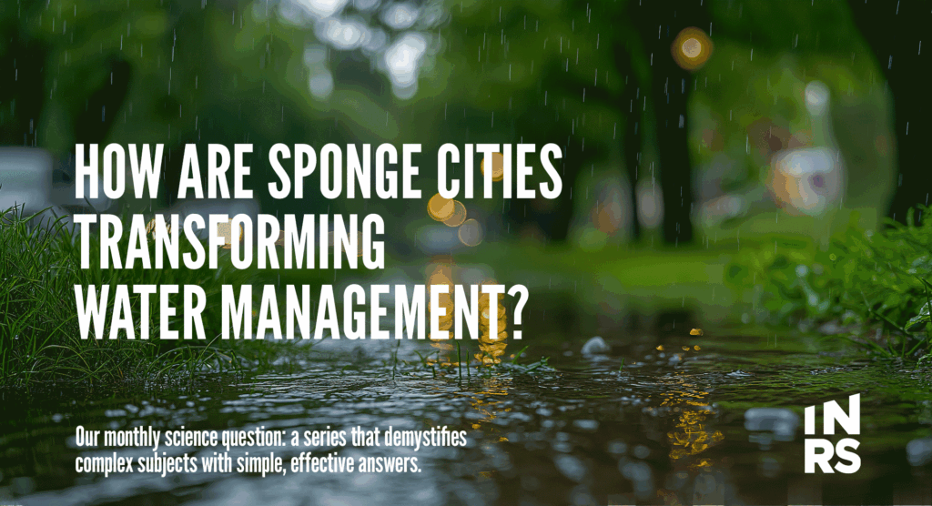 How are sponge cities transforming water management?
Our monthly science question: a series that demystifies complex subjects with simple, effective answers.