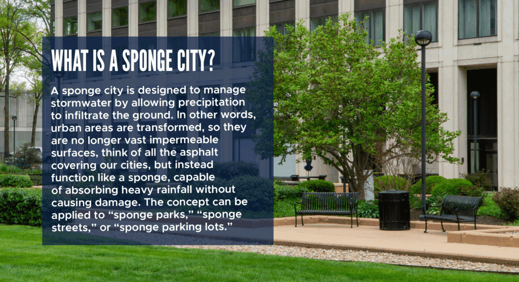 What is a sponge city?
A sponge city is designed to manage stormwater by allowing precipitation to infiltrate the ground. In other words, urban areas are transformed, so they are no longer vast impermeable surfaces, think of all the asphalt covering our cities, but instead function like a sponge, capable of absorbing heavy rainfall without causing damage. The concept can be applied to “sponge parks,” “sponge streets,” or “sponge parking lots.”