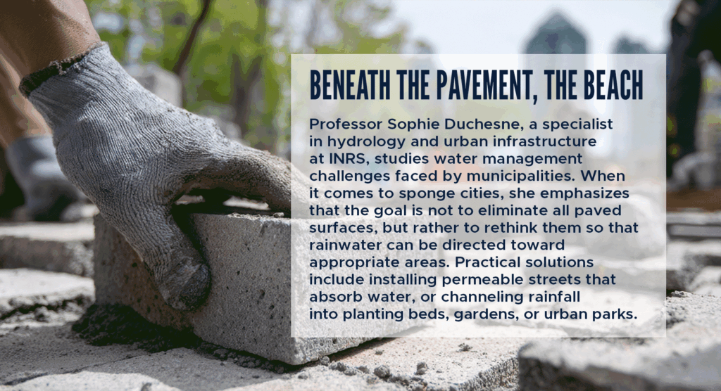 Beneath the pavement, the beach
Professor Sophie Duchesne, a specialist in hydrology and urban infrastructure at INRS, studies water management challenges faced by municipalities. When it comes to sponge cities, she emphasizes that the goal is not to eliminate all paved surfaces, but rather to rethink them so that rainwater can be directed toward appropriate areas. Practical solutions include installing permeable streets that absorb water, or channeling rainfall into planting beds, gardens, or urban parks.
