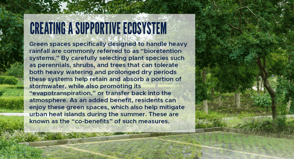 Creating a supportive ecosystem
Green spaces specifically designed to handle heavy rainfall are commonly referred to as “bioretention systems.” By carefully selecting plant species such as perennials, shrubs, and trees that can tolerate both heavy watering and prolonged dry periods these systems help retain and absorb a portion of stormwater, while also promoting its “evapotranspiration,” or transfer back into the atmosphere. As an added benefit, residents can enjoy these green spaces, which also help mitigate urban heat islands during the summer. These are known as the “co-benefits” of such measures.