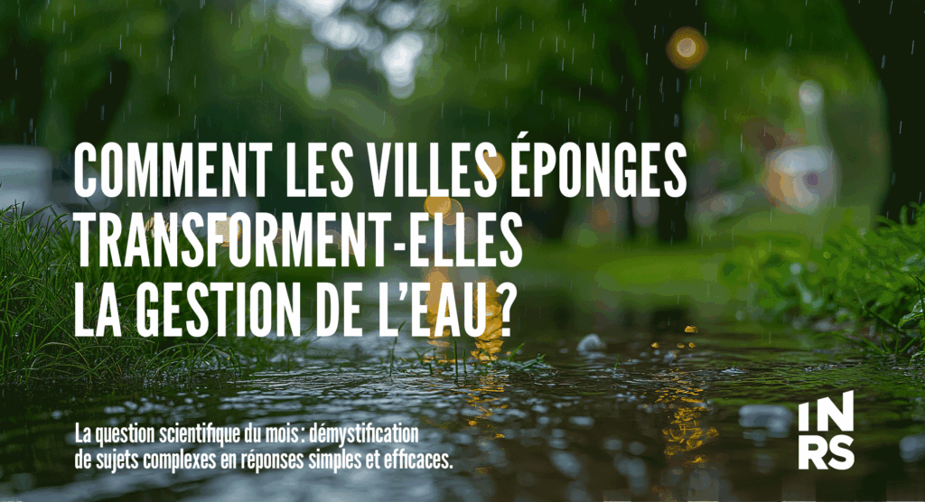 Comment les villes éponges transforment la gestion de l’eau?
La question scientifique du mois : démystification de sujets complexes en réponses simples et efficaces.
