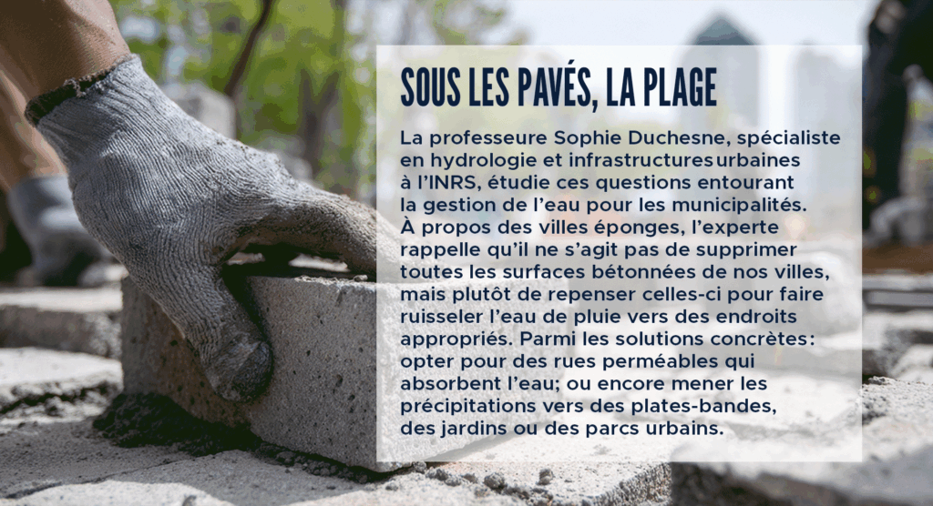 Sous les pavés, la plage
La professeure Sophie Duchesne, spécialiste en hydrologie et infrastructures urbaines à l’INRS, étudie ces questions entourant la gestion de l’eau pour les municipalités. À propos des villes éponges, l’experte rappelle qu’il ne s’agit pas de supprimer toutes les surfaces bétonnées de nos villes, mais plutôt de repenser celles-ci pour faire ruisseler l’eau de pluie vers des endroits appropriés. Parmi les solutions concrètes : opter pour des rues perméables qui absorbent l’eau; ou encore mener les précipitations vers des plates-bandes, des jardins ou des parcs urbains.