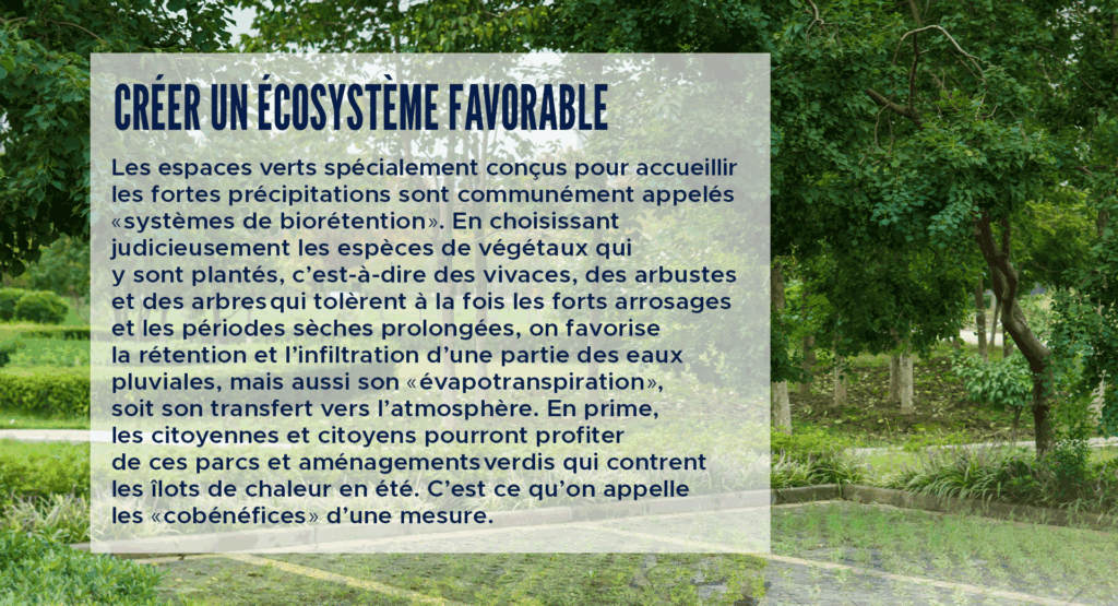 Créer un écosystème favorable
Les espaces verts spécialement conçus pour accueillir les fortes précipitations sont communément appelés « systèmes de biorétention ». En choisissant judicieusement les espèces de végétaux qui y sont plantés, c’est-à-dire des vivaces, des arbustes et des arbres qui tolèrent à la fois les forts arrosages et les périodes sèches prolongées, on favorise la rétention et l’infiltration d’une partie des eaux pluviales, mais aussi son « évapotranspiration », soit son transfert vers l’atmosphère. En prime, les citoyennes et citoyens pourront profiter de ces parcs et aménagements verdis qui contrent les îlots de chaleur en été. C’est ce qu’on appelle les « cobénéfices » d’une mesure.