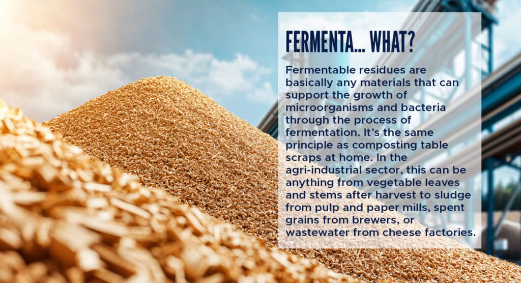 Fermenta… what? 

Fermentable residues are basically any materials that can support the growth of microorganisms and bacteria through the process of fermentation. It’s the same principle as composting table scraps at home. In the agri-industrial sector, this can be anything from vegetable leaves and stems after harvest to sludge from pulp and paper mills, spent grains from brewers, or wastewater from cheese factories. 