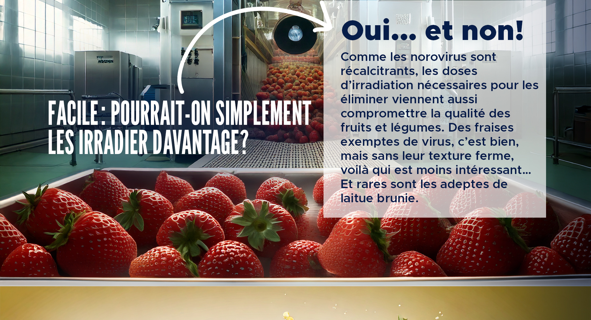 Facile : pourrait-on simplement les irradier davantage ?  
Oui… et non ! Comme les norovirus sont récalcitrants, les doses d’irradiation nécessaires pour les éliminer viennent aussi compromettre la qualité des fruits et légumes. Des fraises exemptes de virus, c’est bien, mais sans leur texture ferme, voilà qui est moins intéressant… Et rares sont les adeptes de laitue brunie.   