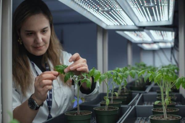 COP 30: INRS joins 17 Québec universities to fight climate change  