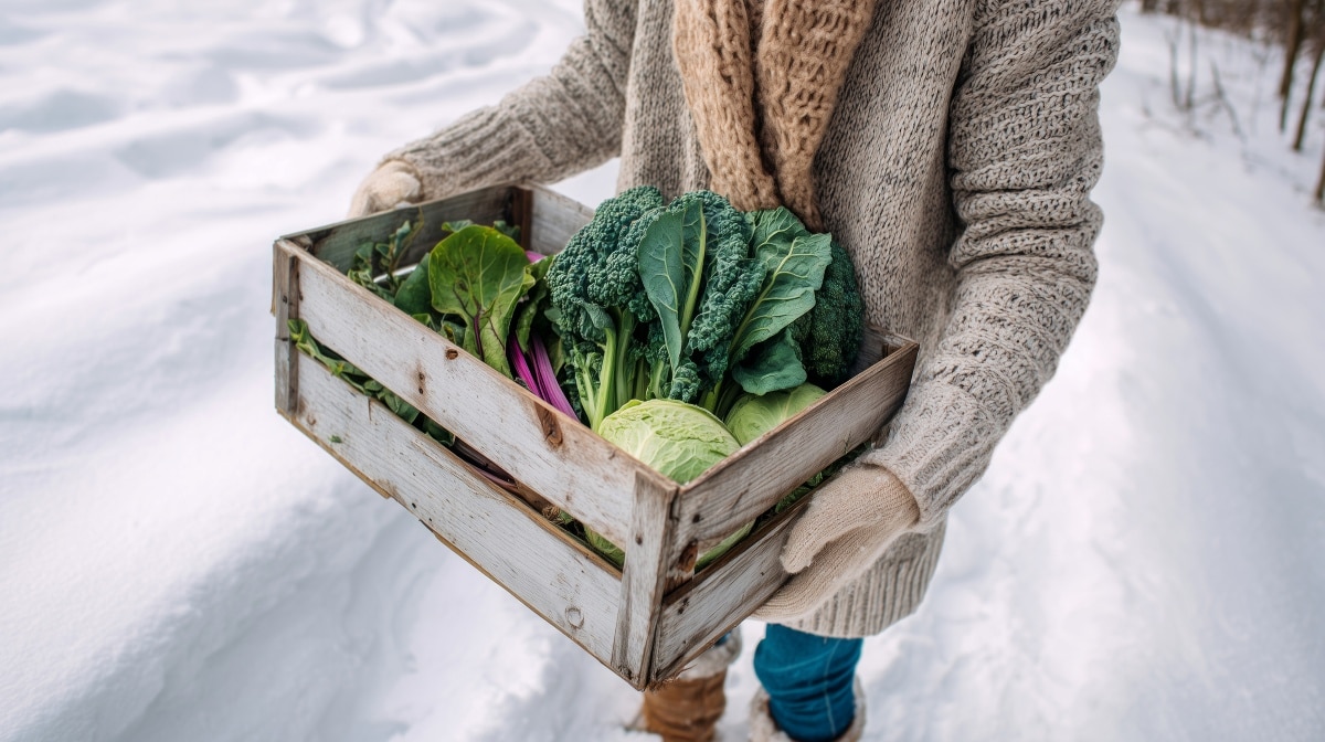 Our monthly science question: Could we eat locally grown food all winter in Québec?