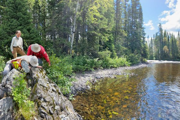 Cap sur le paysage volcanique de l’Abitibi