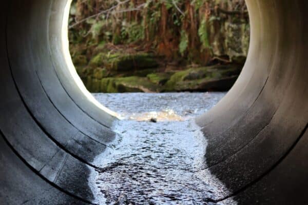 Amélioration du succès de passage des poissons dans les ponceaux